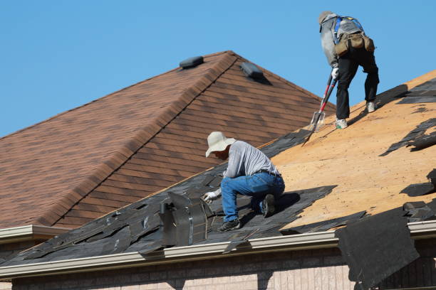 Best Emergency Roof Repair Services  in Elba, AL