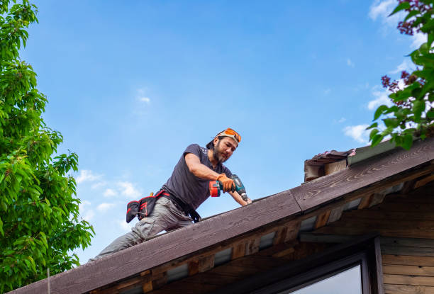 Best Roofing for New Construction  in Elba, AL