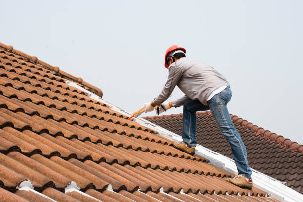 Fast & Reliable Emergency Roof Repairs in Elba, AL
