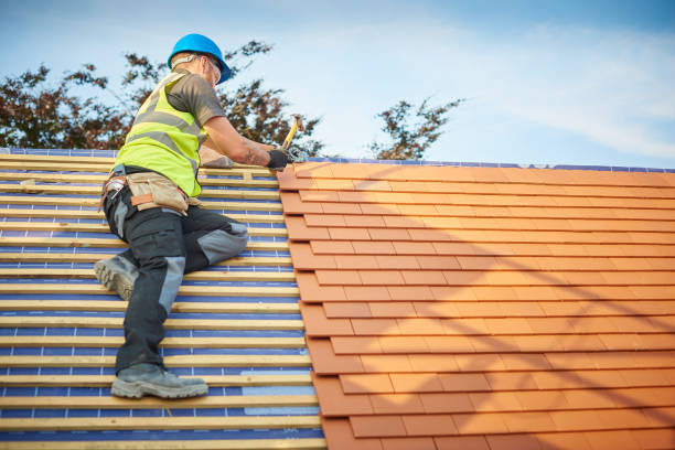 Best Roof Installation  in Elba, AL